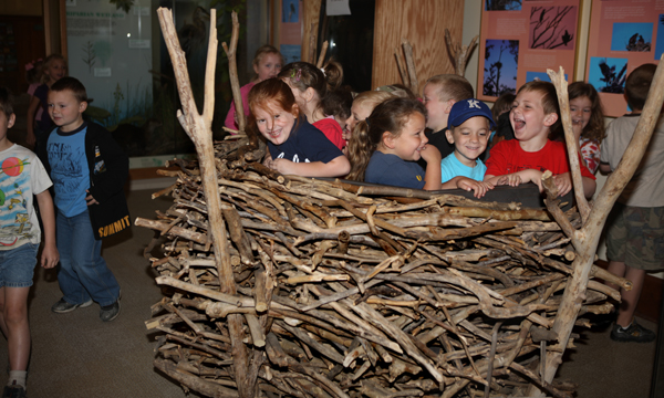 Visitor Center Eagle Nest 