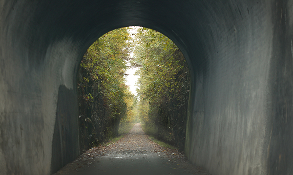 Tunnel Hill State Trail Parks