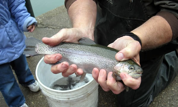Fall Trout Season Opens October 15th!