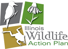 Illinois Wildlife Action Action Plan logo