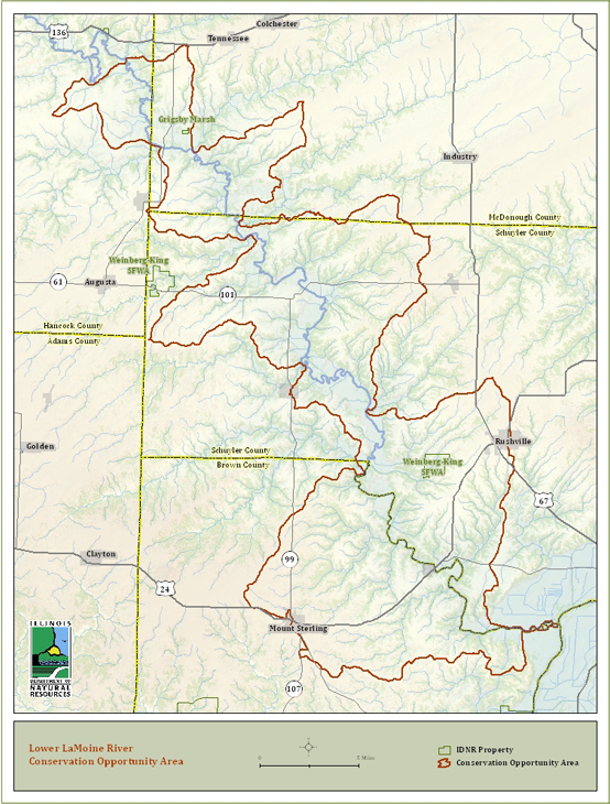 Lower LaMoine River - Illinois Wildlife Action Plan