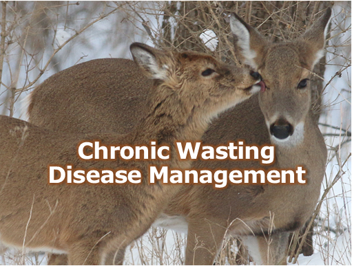 Chronic Wasting Disease Webpage