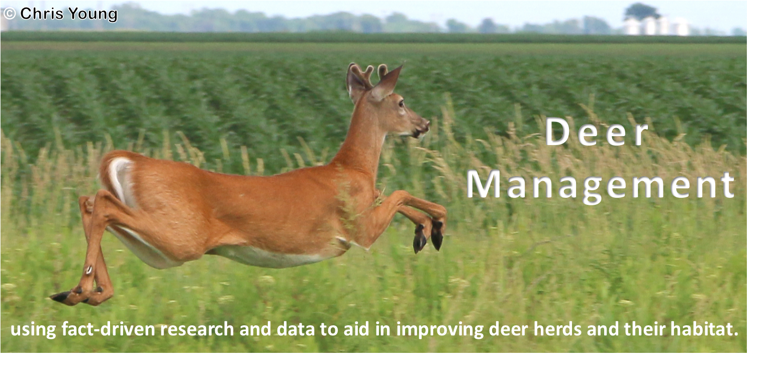 Deer Management image 2.png