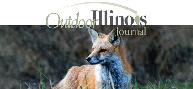 Outdoor Illinois Journal Website