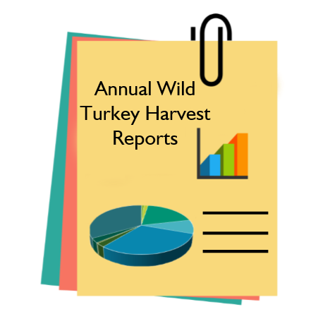 turkey reports image.png
