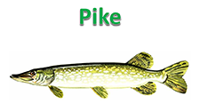 June2016Pike.PNG