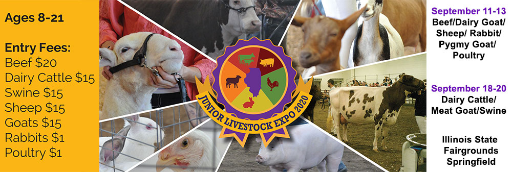 Jr Livestock show, IL state fairgrounds springfield, ages 8-21, entry fees:beef $20, dairy cattle $15, Swine, $15, Sheep $15, Go