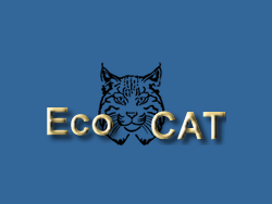EcoCAT Logo