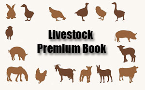 Lovestock Premium Book
