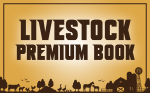 Lovestock Premium Book